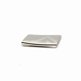 CHAIN-STAY STAINLESS  STEEL PROTECTOR PLATE - TRANSONIC MY'19