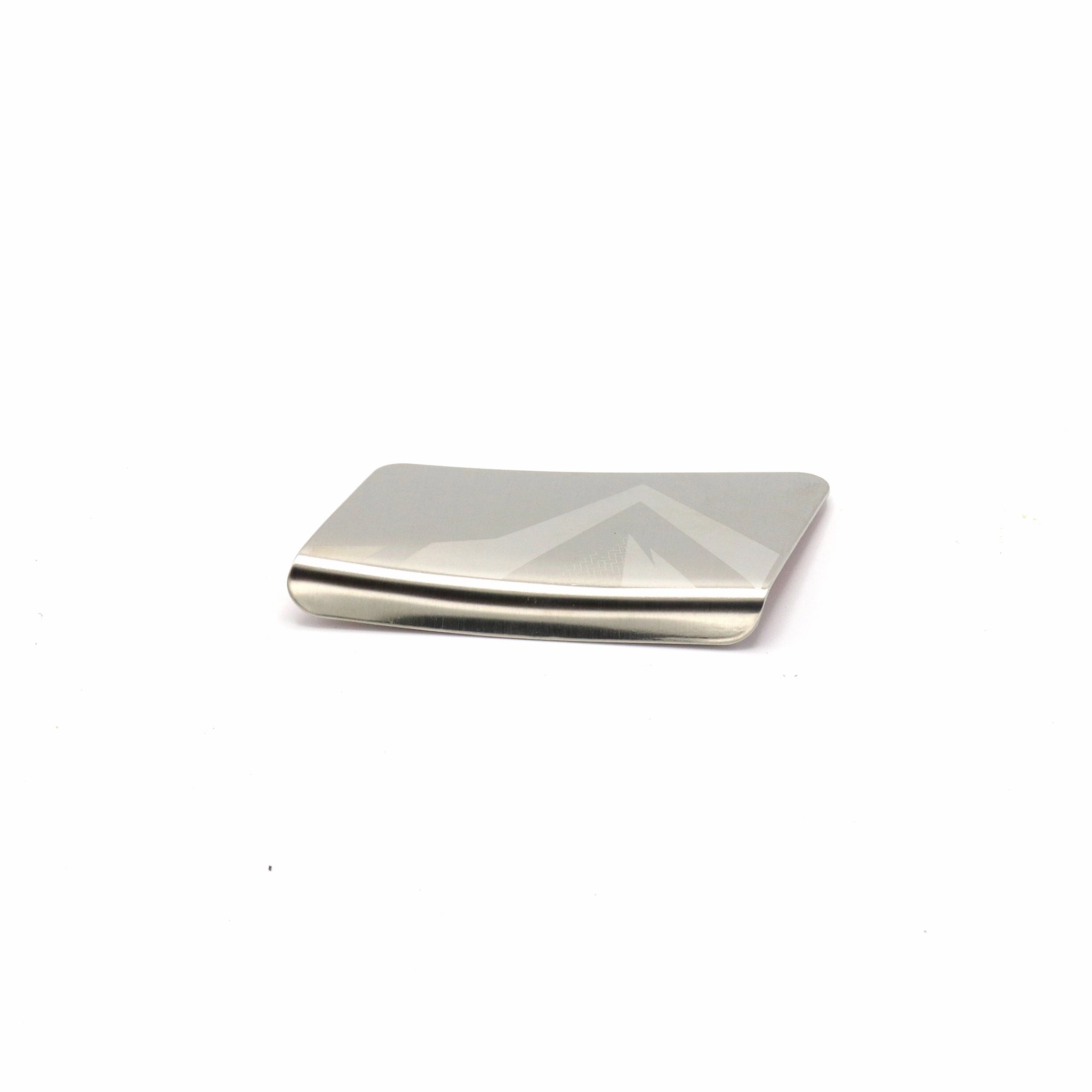 CHAIN-STAY STAINLESS  STEEL PROTECTOR PLATE - TRANSONIC MY'19