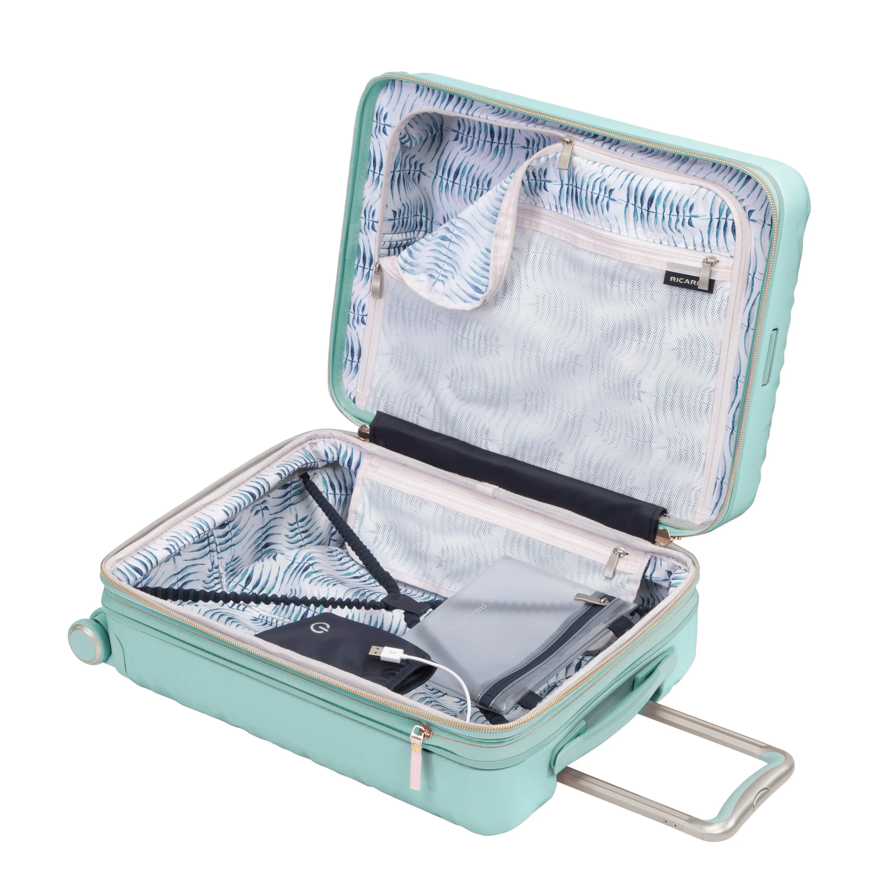 Ricardo Beverly Hills Indio Hardside 4-Wheel Spinner Hardside Travel Luggage